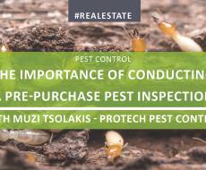 The Importance of Conducting a Pest Inspection Before Purchasing Property