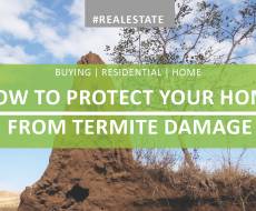 How to Protect Your Home from Termite Damage