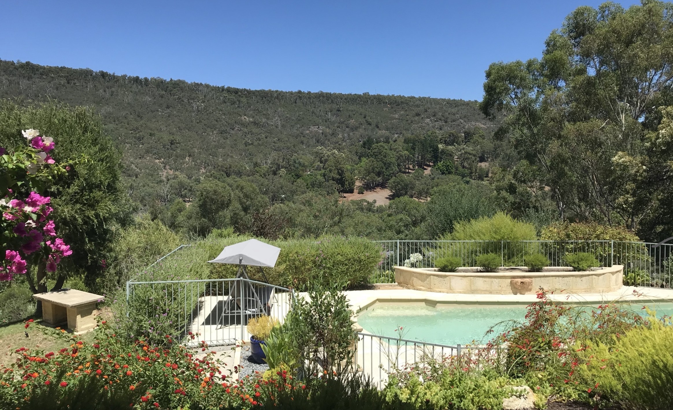 Pool with valley view, native gardens, bushland-covered hills behind.