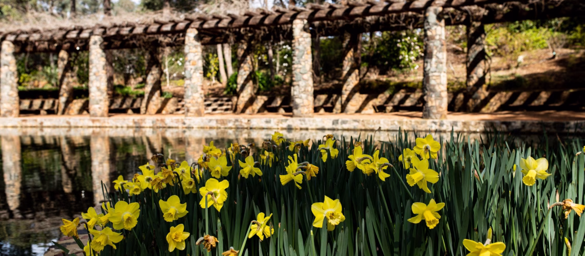 Araluen (14)